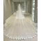 Katedrála čipka nášivka závoj vynikajúci a elegantný svadobný závoj svadobný veľký chvostový závoj 350CM - Strana 1