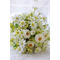 Zelené a biele čajové kvety ručné kytice Kórejské nevesty si vzal simuláciu - Strana 1