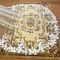 300cm čipkový závoj nevesta svadobný závoj katedrála zadný závoj čipka kvetinový závoj - Strana 4
