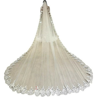 Katedrála čipka nášivka závoj vynikajúci a elegantný svadobný závoj svadobný veľký chvostový závoj 350CM - Strana 2
